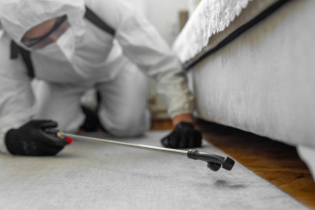 Professional Bed Bug Control technician working in Bridgeport, NE