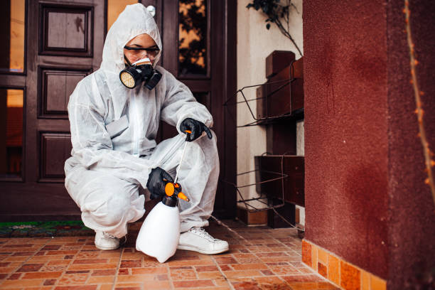 Reliable Bed Bug Control contractor in Bridgeport, NE by Nex Pest Control